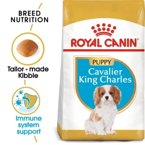 breed health nutrition cavalier king charles puppy 1.5 kg