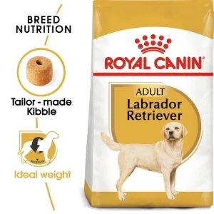 breed health nutrition labrador adult 3 – 12 kg