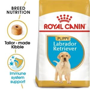 breed health nutrition labrador retriver puppy 3 12 kg