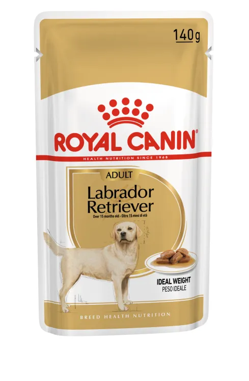 breed health nutrition labrador (wet food pouche) 140 gr