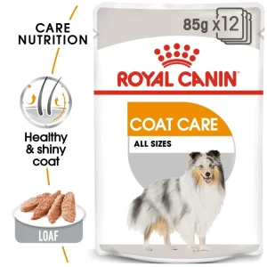 canine care nutrition coat care (wet food pouche) 85 gr