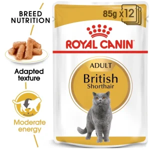 feline breed nutrition british shorthair (wet food pouch) 85 gr