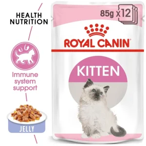 feline health nutrition kitten jelly (wet food pouch) 85 g