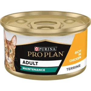 purina pro plan adult maintenance wet cat food terrine rich in chicken 85 g